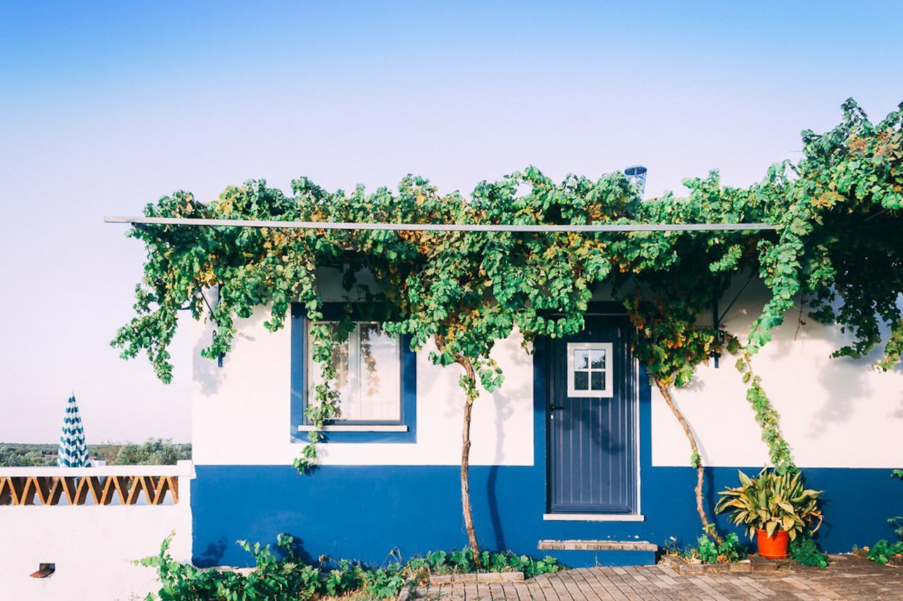 Monte Do Colmeal - Country House & Wine Guest House Mourão Eksteriør bilde