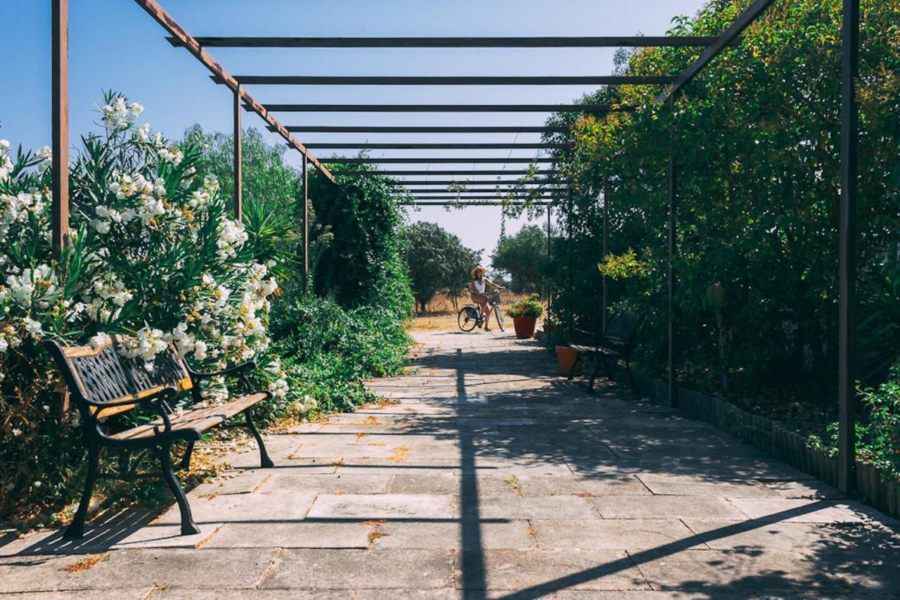 Monte Do Colmeal - Country House & Wine Guest House Mourão Eksteriør bilde